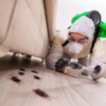 Key Reasons Why You should not Ignore Pest Control Services!